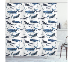 Orcas and Blue Whales Shower Curtain