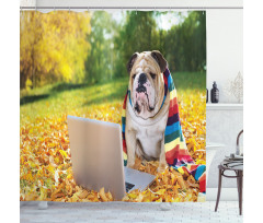 Dog in the Park Shower Curtain