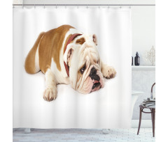 Sad Animal Shower Curtain