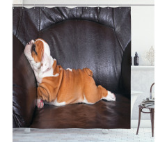 Resting Puppy Shower Curtain