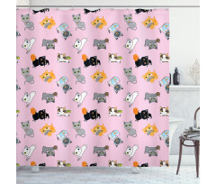 Colorful Baby Kittens Shower Curtain