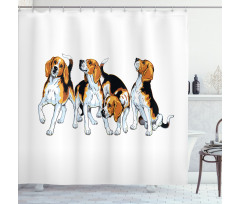 4 Beagle Hounds Play Shower Curtain