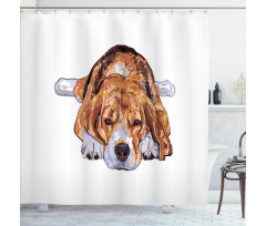 Old Dog Resting Sketch Shower Curtain