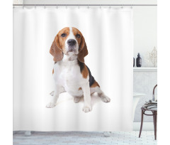 Puppy Dog Friend Posing Shower Curtain