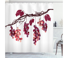 Vine Colorful Grapes Shower Curtain