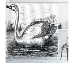 Hand Drawn Swan Design Shower Curtain