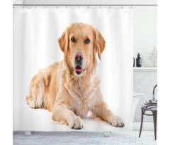 Young Puppy Shower Curtain