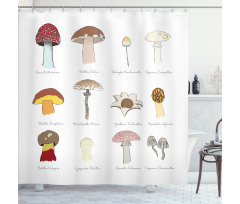 Blusher Boletus Sketch Shower Curtain