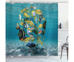 Shoal of Fish Underwater Shower Curtain