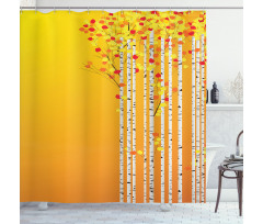 Autumn Season Birch Foliage Shower Curtain