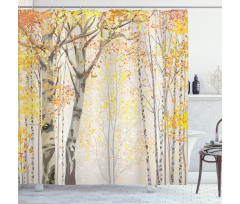 Birch Growth in Fall Shower Curtain