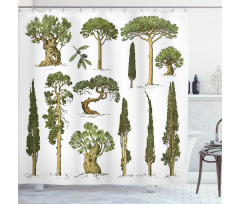 Forest Growth Ecology Shower Curtain