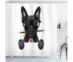 Businessman Dog Glasses Shower Curtain