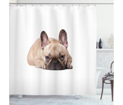 Funny Pet Animal Lovers Shower Curtain