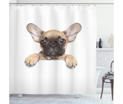 Pedigreed Young Puppy Shower Curtain