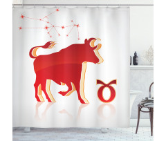 Animal and Stars Shower Curtain