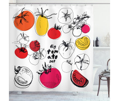 Vivid Sketched Tomatoes Shower Curtain