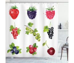 Composition of Berries Shower Curtain
