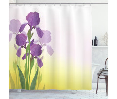 Iris Flowers Leaves Shower Curtain