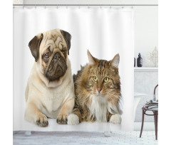 Pets Sitting Studio Shot Shower Curtain