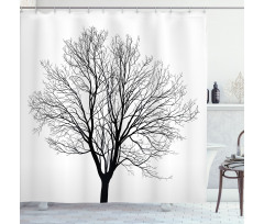 Barren Maple Tree Shower Curtain