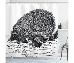 European Hedgehog Shower Curtain