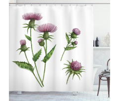 Healing Herbs Concept Shower Curtain