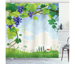 Rural Countryside Grapes Shower Curtain