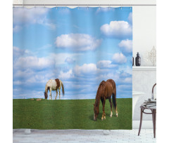 Horses Grazing Meadow Shower Curtain