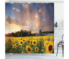 Sunflower Field Sky Shower Curtain