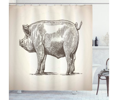 Vintage Hand-Drawn Image Shower Curtain