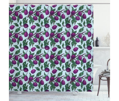 Branches of Plum Fruit Shower Curtain