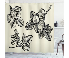 Rosa Canina Sketch Shower Curtain