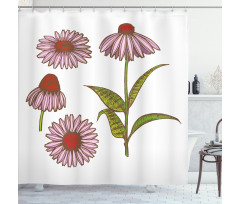 Coneflower Herbs Shower Curtain