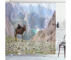 Animal Traditional Harness Shower Curtain