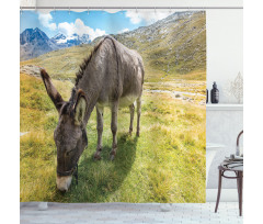 Donkey Eating Grass Mountain Shower Curtain