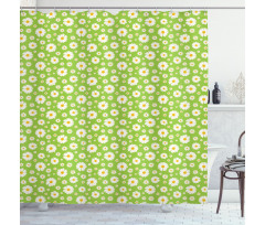 Chamomile Bloom on Pale Green Shower Curtain