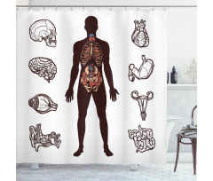 Organs Infographic Image Shower Curtain