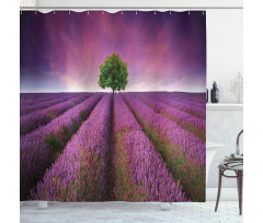 Lavender Fields and Tree Shower Curtain