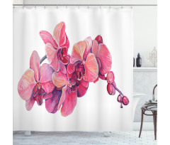 Pink Blossoms on a Branch Shower Curtain