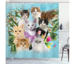 Cats Feline Domestic Shower Curtain