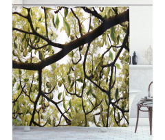 Close up Leafy Branches Photo Shower Curtain