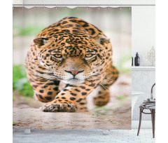 Jungle Fauna Predator Cat Shower Curtain