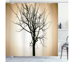 Barren Tree on Ombre Shower Curtain