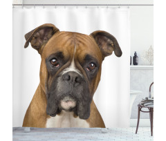 Purebred Dog Front View Shower Curtain