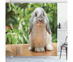 Photo of Holland Lop Rabbit Shower Curtain