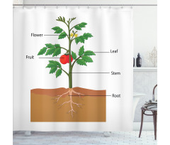 Parts of a Tomato Plant Shower Curtain