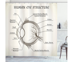 Structure of the Human Eye Shower Curtain