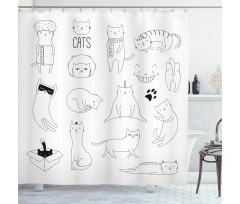 Pattern Cat Fiddles Kitten Shower Curtain