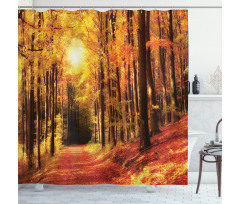 Fall Trees at Sunset Woods Shower Curtain